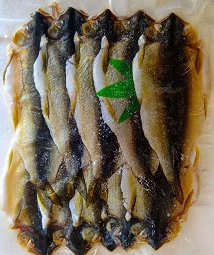 Y@@銱@10×30P@Ⓚ@Ɩp@