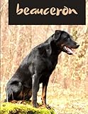  Composition book beauceron: Beauceron notebook