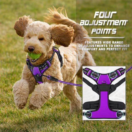 BARKBAY No Pull Dog Harness Front Clip Heavy Duty Reflective Easy Control Handle for Large Dog Walking(Purple,XS) by BARKBAY - Image 6