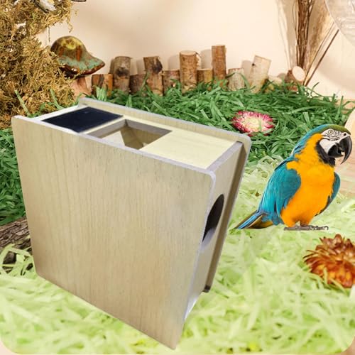 Dispositif adapté aux graines de millet pour volières et élevage extérieur - 6
