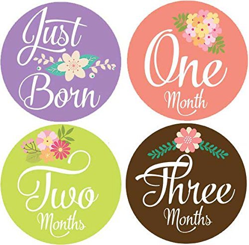 Belly Doodles 16 Baby Month Stickers Flowers