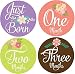 Belly Doodles 16 Baby Monthly Stickers Girl Milestone Flowers 3.94inch (1-12 Months)