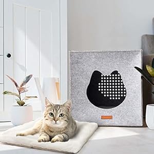 LuckySign Katzenhaus Kallax Einsatz mit Kissen
