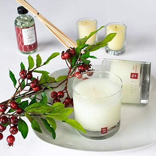 Trapp Signature Home Collection No. 24 Wild Currant Poured Scented Candle, 7-Ounce - 1