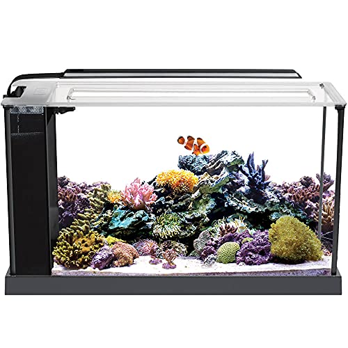 https://m.media-amazon.com/images/I/51InZC1ViPL._SL500_.jpg