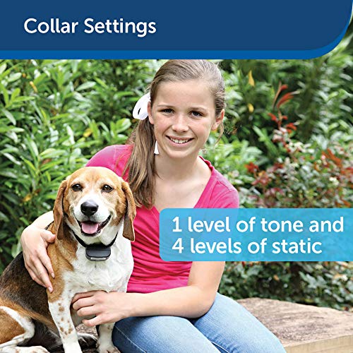 image for PetSafe Rechargeable In-Ground Fence for Dogs and Cats over 5lb and Wa