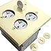 ENERLITES - 705510-C-STICKERED Screw Cap Cover Floor Box kit, 5” x 5” 2-Gang Cover, 20A Tamper-Weather Resistant Receptacle Outlets, Watertight Gasket, Corrosive Resistant Hardware, UL Listed, 975510-C, Brass Brass 2-Gang