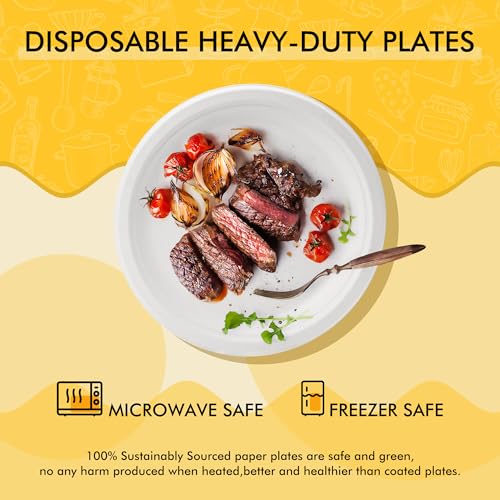image for RACETOP Disposable Compostable Paper Plates 9 Inch [125 Pack], White B