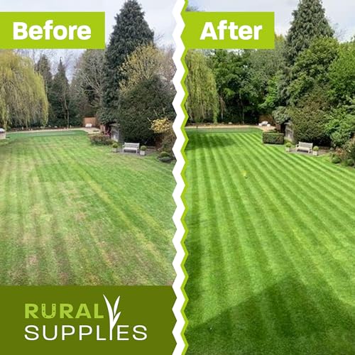 Rural Supplies Premium Grass Seed Mix 1Kg - Hardy, Fast-Growing, Covers Up To 50M2, Pet Safe, Perfect For Uk Climate - Thick, Hard-Wearing, Easy-To-Grow, Low Maintenance Lawn - 2