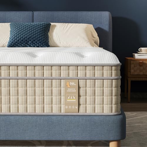 VISCOFLEX Queen Mattress - Luxury 14 Inch Queen Bed Mattress in a Box, with Pillow Top & Upgrade Pocket Spring Design for Strong Back Support & Pain Relief, Non-Toxic & Odor