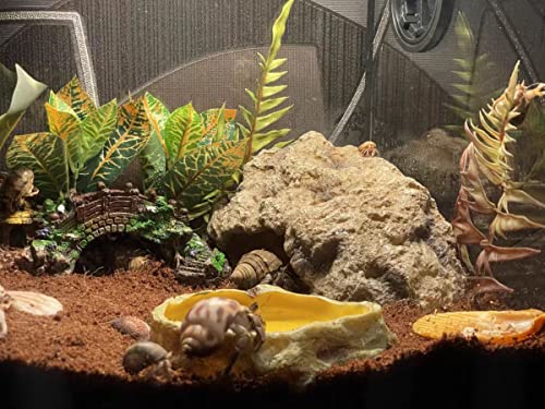 Reptile Hides Large Rock Reptile Cave Hideout Terrarium Habitat Decor Ornament Shelter For Snake Geckos Lizards Bearded Dragon Turtle Frogs Amphibians #TOP6
