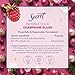 Secret Fresh Antiperspirant Deodorant for Women, 72hr Breathable Odor Protection with Pro-Hyaluronic Acid, Holiday Invisible Solid, Champagne Blush with Berries Sugared Rim & Rose Petals Scent, 2.6 oz