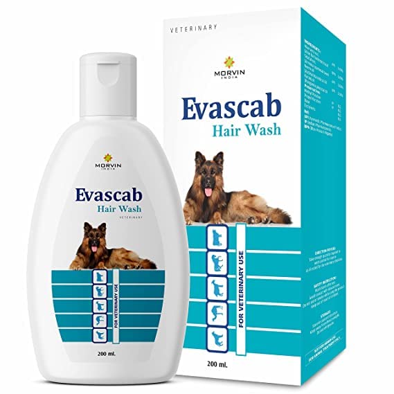 hair wash dog shampoo 200ml Amazon.in Pet Supplies