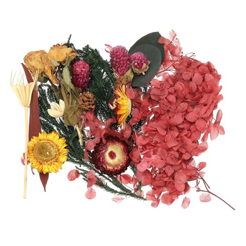 Set natural de flores secas para manualidades