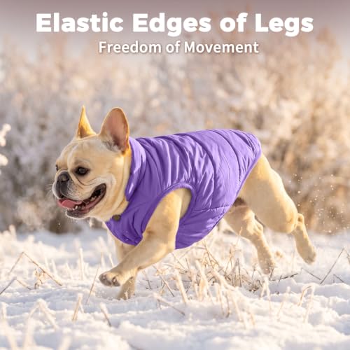 Image of JoyDaog Fleece Lined Dog Jacket for Small Dogs,Winter Dog Coat,Purple S | Warm Windproof Puppy Vest for Cold Weather,Soft Cozy Doggie Clothes for Smaller Dog Breeds,Outdoor Daily Walk,Snow Play