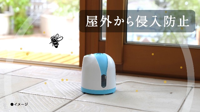 Amazon.co.jp: アースノーマット 取り替えボトル 無香料 60日×2 蚊除け