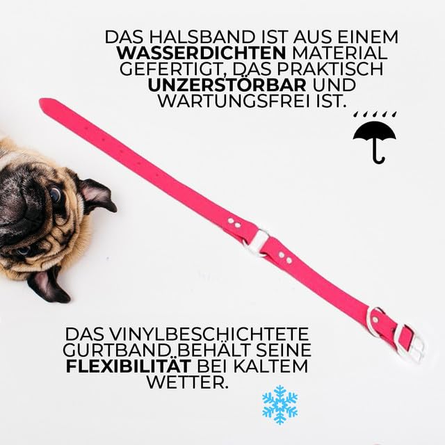 Collier et laisse pour chien résistant et imperméable rose
