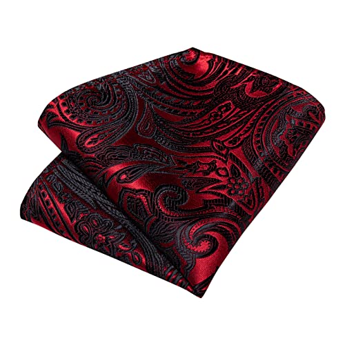 Image of DiBanGu Paisley Ties for Men Silk Necktie and Pocket Square Cufflinks Tie Clip Set Woven Classic Mens Tie for Wedding Party
