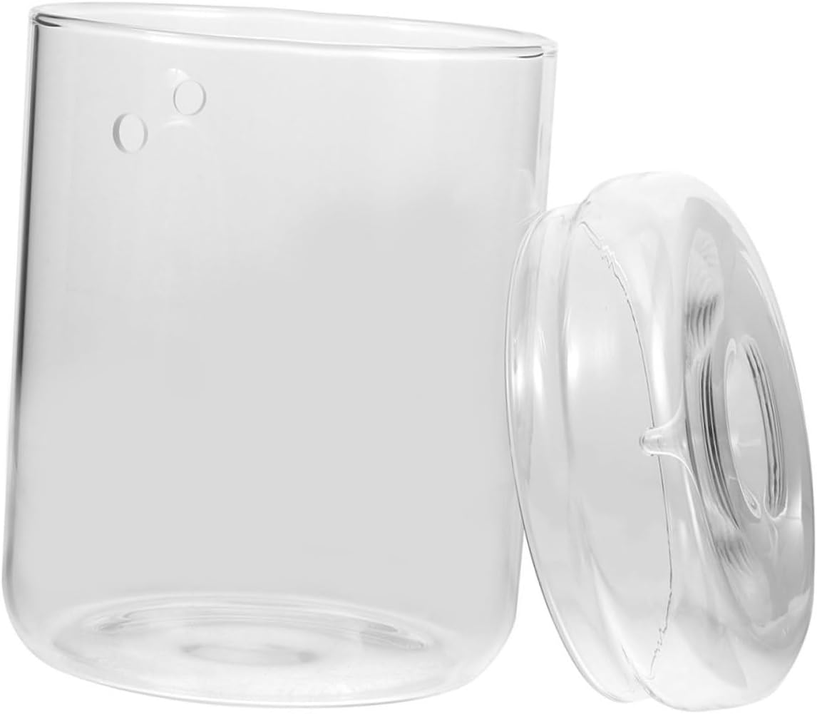 Cabilock Terrarium for Succulents and Air Plants Miniature Landscape Bottle Planter for Home and Office Decor Creative Micro Landscape Ecosystem Suitable for Indoor Spaces