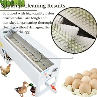 Yokoma Electric Eggs Cleaning Machine Semi-automatic Egg Surface Washing Machine Nylon Brush for Chicken Duck Goose Eggs 1500-2000 Pcs/H 750W 110V