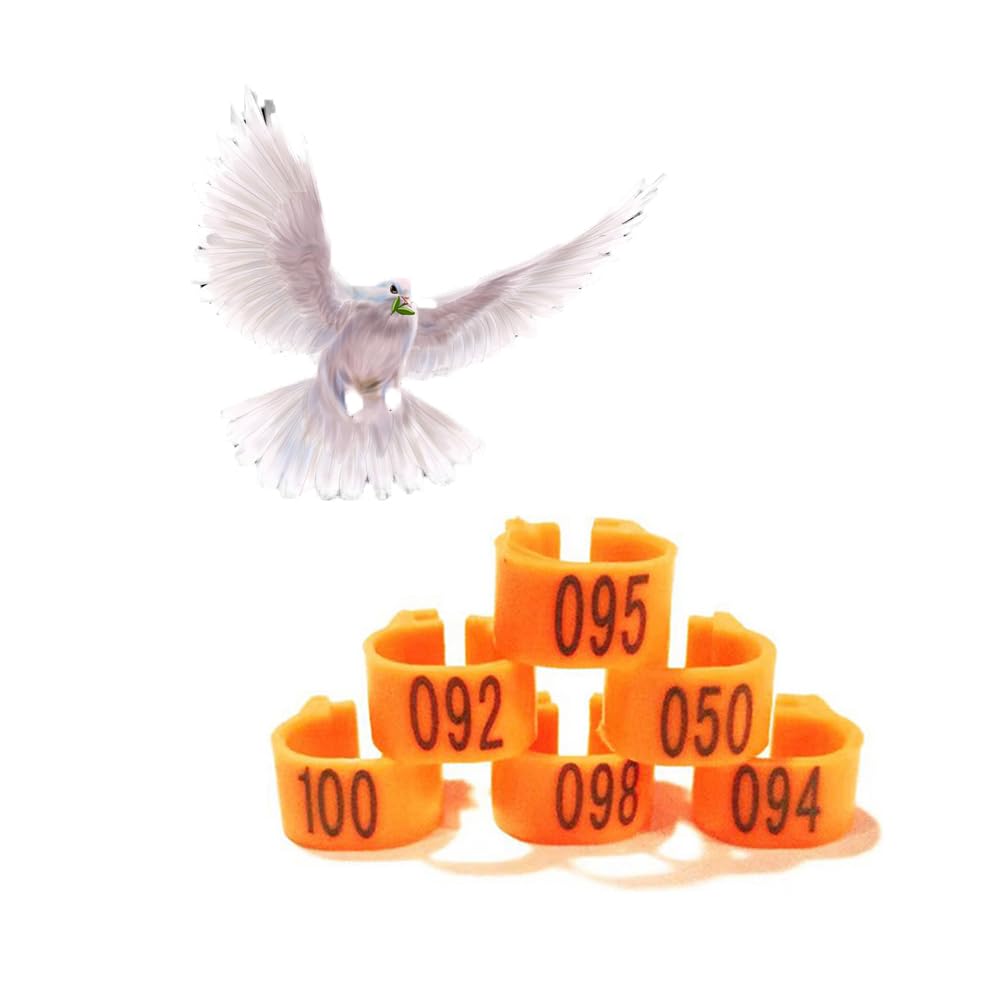Plastikowe klipsy do identyfikacji ptaków - Przywieszki do stóp drobiu dla kurczaków Kaczki Przepiórki Świnki morskie i ptaki miłosne(Orange,001-400)