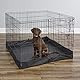 MidWest Homes for Pets Quadratischer Trainingsstift aus Netzstoff