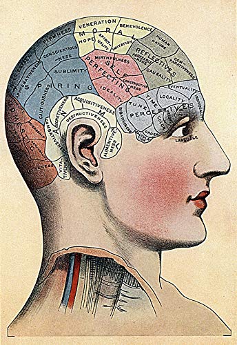 Home Comforts 1914 Medical Print Phrenology Head Chart Science Of The Mind Wall Art - 12 Inch by 18 Inch Laminated Poster With Bright Colors And Vivid Imagery-Fits Perfectly In Many Attractive Frames