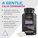 Livingood Daily Mood Support Supplement for Women & Men, 14-in-1 Formula with L Theanine, Lemon Balm, GABA, Saffron, 5-HTP & B12, Supports Focus & Emotional Wellness, Gluten Free, Vegan, 60 Capsules - Image 2