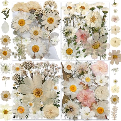 YouthBro 135 Stück weiße getrocknete gepresste Blumen mit Schmetterlingsaufklebern Bastelset mit echten Naturblumen für Kunstharz DIY-Schmuck Kerzen