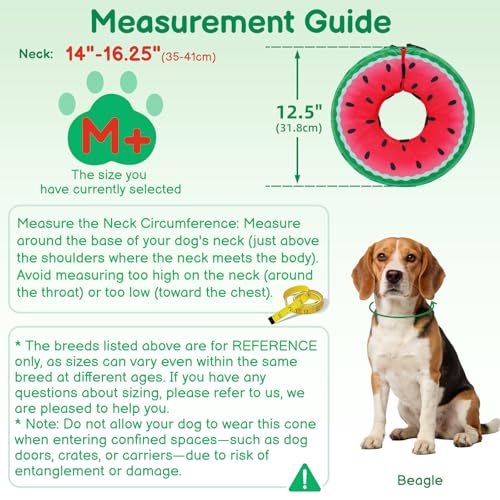 Image of Dog Cone, No-Inflation Sponge Donut Collar for Dogs After Surgery