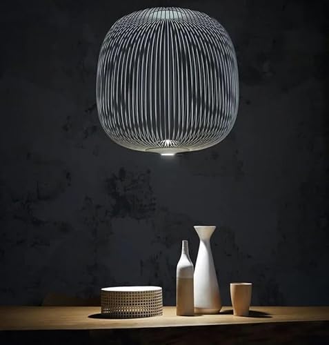 Generico Lampada a sospensione a LED Nordic Remote Foscarini Spokes industriale Lampadario a gabbia for uccelli Sala da pranzo Soggiorno LOFT Sospensione(White 35X35CM,Natural light)