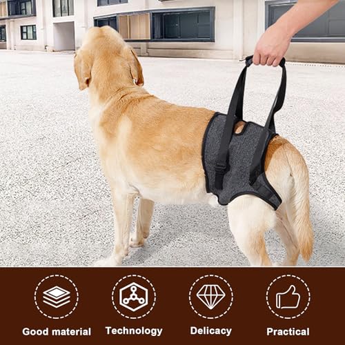Hundehebefestigung, Weiche Tragehilfe, Verstellbare Hinterbeinstütze, Sicherheitsunterstützung für behinderte, verletzte oder ältere Hunde (XL)