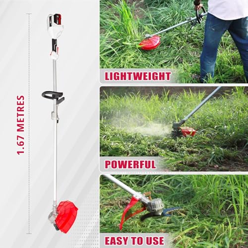 Image of IBELL BB20-30 Cordless Trimmer /Brush Cutter /Grass Cutter 20V BLDC Motor 6000 RPM,4.0Ah Battery & Fast Charger,Blade & Trimmer Head,for Garden, Lawn, Yard,Lightweight Tool- 6 Months Warranty
