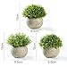 Jobary Set de 3 Plantas Artificiales con Césped Verde en Macetas Grises,...