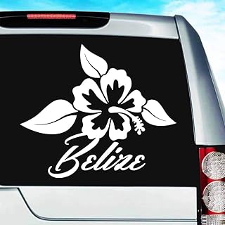 Belize Caribbean Tropical Hibiscus Flower Vinyl Decal Sticker Bumper Cling for Car Truck Window Laptop Wall Cooler Tumbler | Die-Cut/No Background | Multi Sizes/Colors, 20-inch, Silver