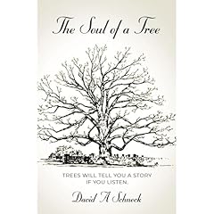 The Soul of a Tree Audiolibro Por David A Schneck arte de portada