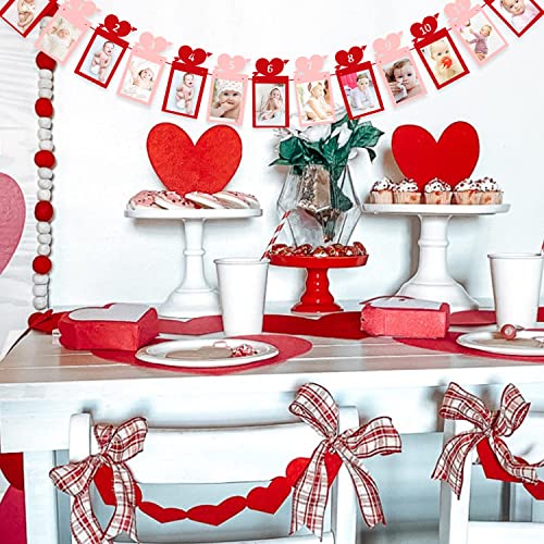 Image of FestikoValentine's Day 12 Months Photo Banner Heart Theme Garland Pink Red Valentine's Day 1st Birthday Party Newborn First Year Decor