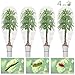 ANPHSIN 4 Pack 4.6 × 3.9ft Garden Bugs Netting Plant Covers- Bird Netting Mesh Tree Covers Bugs Barrier Plant Covers with Drawstring to Keep Garden Plant Fruits Flower Away from Bugs Bird Eating