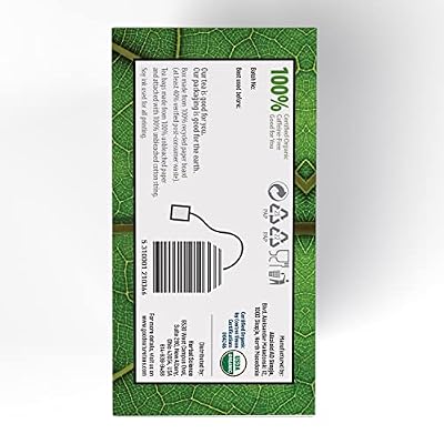 Good Nature Organic Nettle Tea, 1.058 Ounce