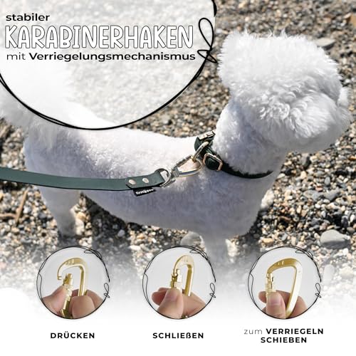 FIRSTPAW Hundeleine - Wasserdicht Trainingsleine für Hunde - 2m Doppelleine - Grüne Hundeleine für Klein, Mittelgroße und Große Hunde - Multifunktionelle und Verstellbare Leine Hund