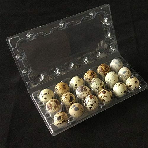 Vaguelly Quail Egg Cartons 18 Grid 50Pcs Quail Egg Cartons Plastic