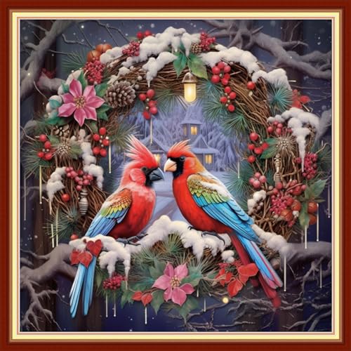 Image of Dimxvean Stamped Cross Stitch Kits,Cross Stitch Kits for Adults Beginners,Embroidery Kits Full Range of Cross Stitch Stamped Kits Needlepoint Kits Cross Stitch Patterns-Christmas Parrot 18x18 inch