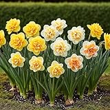 Plantenboetiek.nl