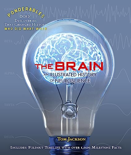 The Brain view 2
