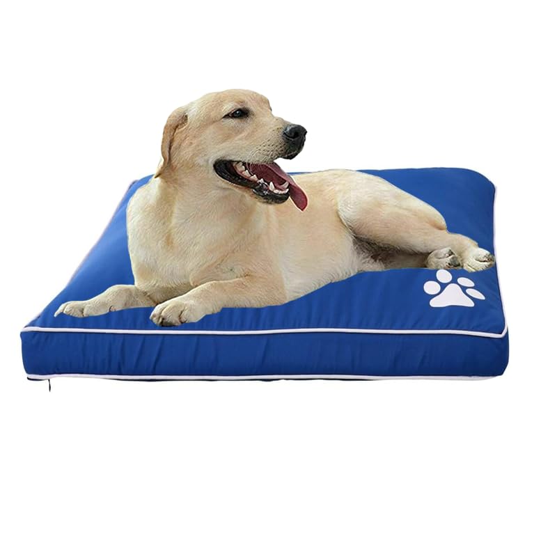 Bluemoon Bedding Medium WATERPROOF Dog Bed Cushion Washable Zipped Mattress, 58cm x 80cm +5cm Medium Dog Bed (Blue)