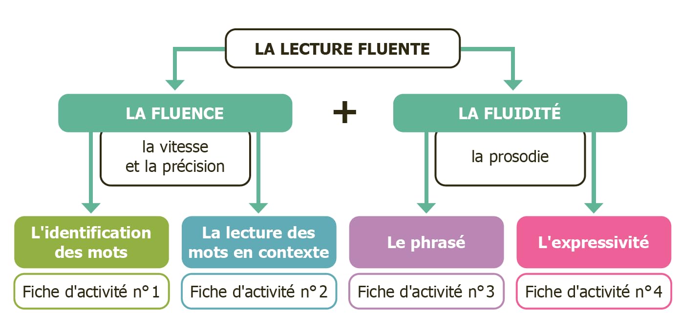 Fluence + fluidité CM - 6e (+ ressources numériques)