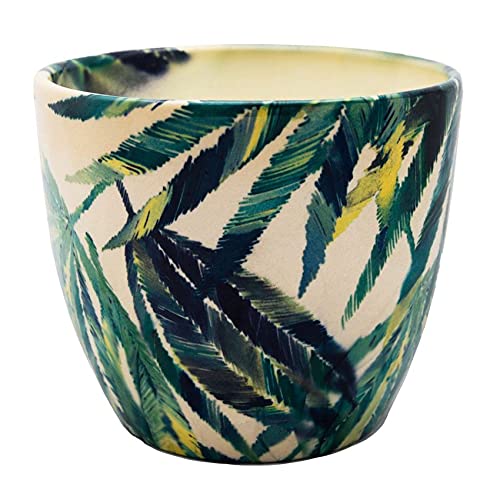 Ivyline Indoor Monza Botanical Fern Planter, Cream/Green, 13cm Diameter