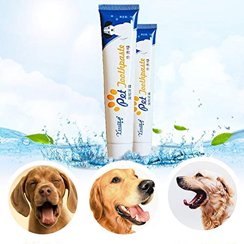 Xrten Dentifricio per cani, Kit Igiene Dentale