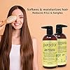 PURA-DOR-Biotin-Deep-Moisturizing-Conditioner-Thickens-Softens-Smooths-Moisturizes-For-Dry-Frizzy-Damaged-Hair-Made-w-Argan-Oil-Pumpkin-Rosemary-Honeysuckle-Vitamin-E-Men-Women-16oz PURA D'OR Deep Moisturizing Biotin Conditioner (16oz) Thickens, Softens, & Moisturizes Dry, Frizzy, Damaged Hair w/Argan Oil, Pumpkin, Rosemary, Honeysuckle, Vitamin E, Men Women (Packaging may vary)