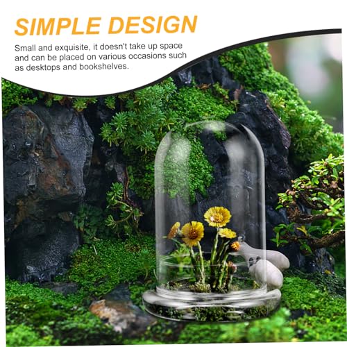 Accessoire pour micro-paysage avec cloche decorative - 7
